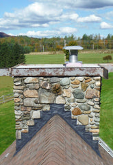 WaterLock Chimney Flashing Sealant