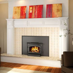 Timberwolf EPI22-1 Wood Burning Fireplace Insert with Blower