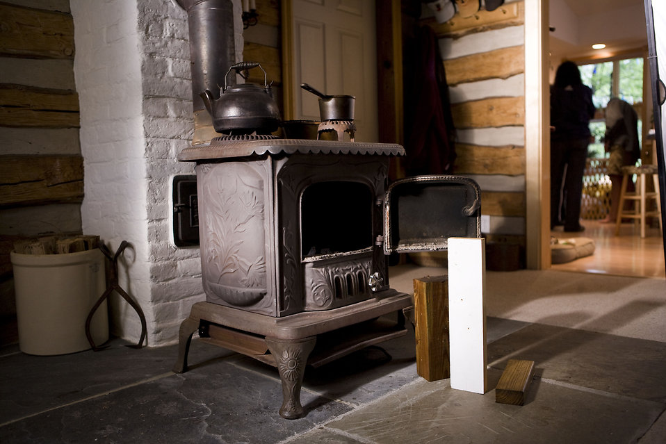 napoleon wood burning stove