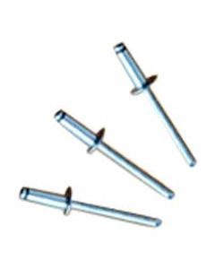 Stainless Steel 1/8" Rivets